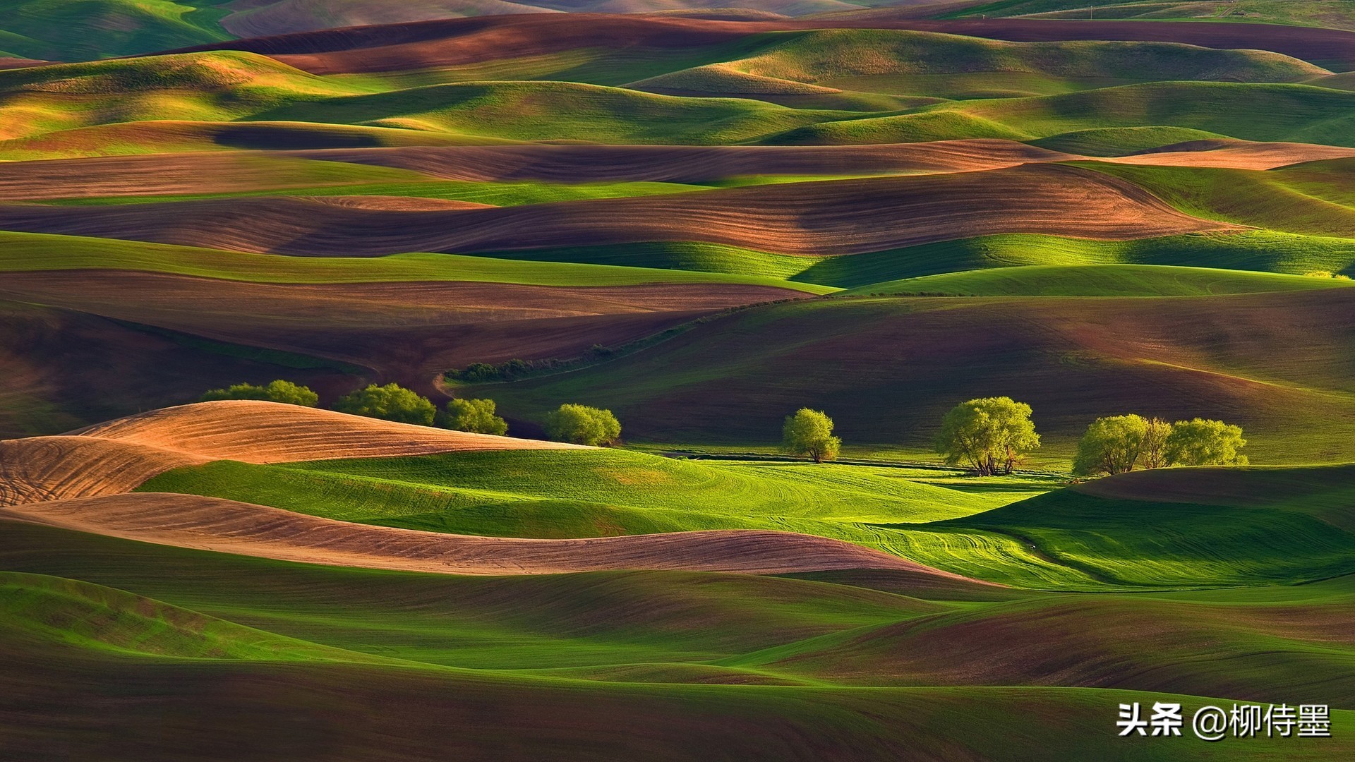 旅拍人像技巧口诀视频,摄影新手入门打卡技巧图片