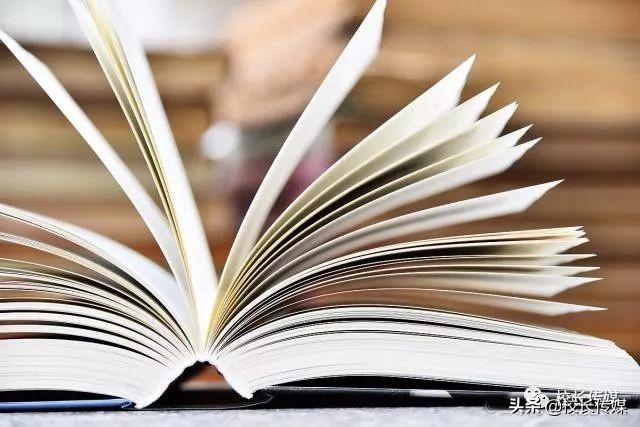 王安忆重要介绍,王安忆文章节选对父亲的崇拜