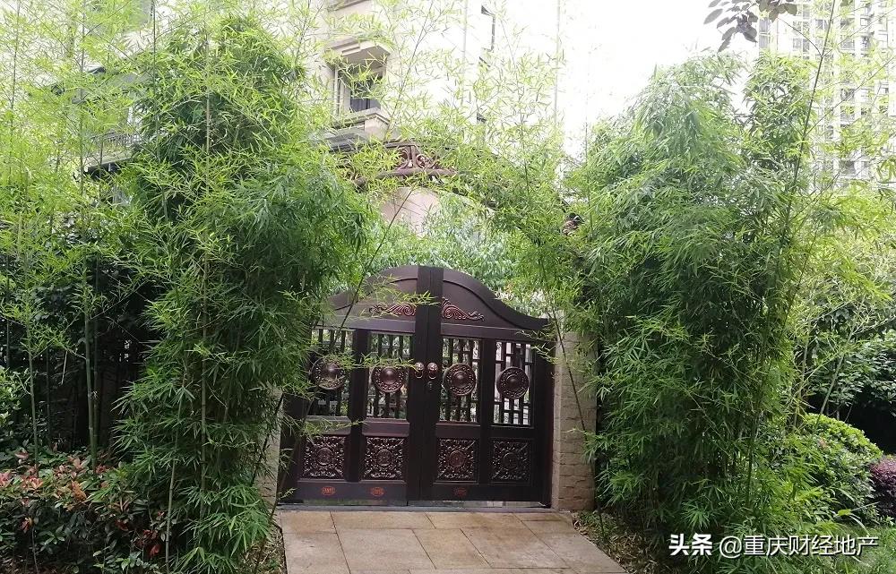 照母山原貌,照母山10年变化