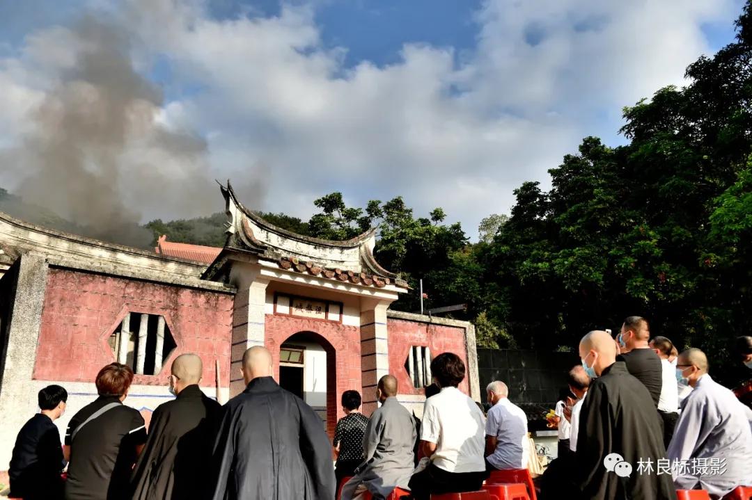 人造舍利子和高僧舍利有何区别,猞猁为什么会生小猞猁