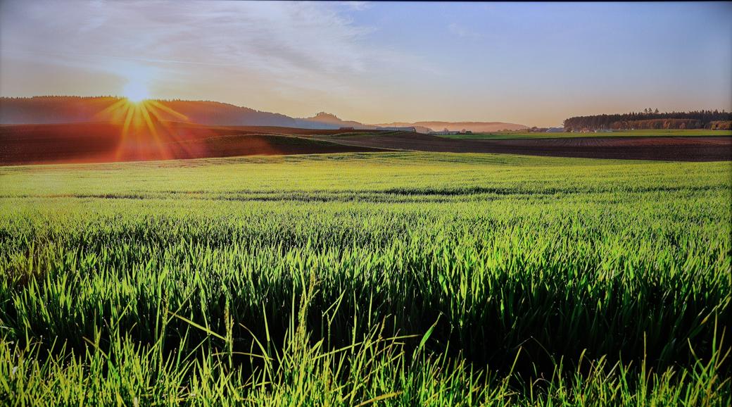 家庭4k电视推荐,松下jx560电视测评