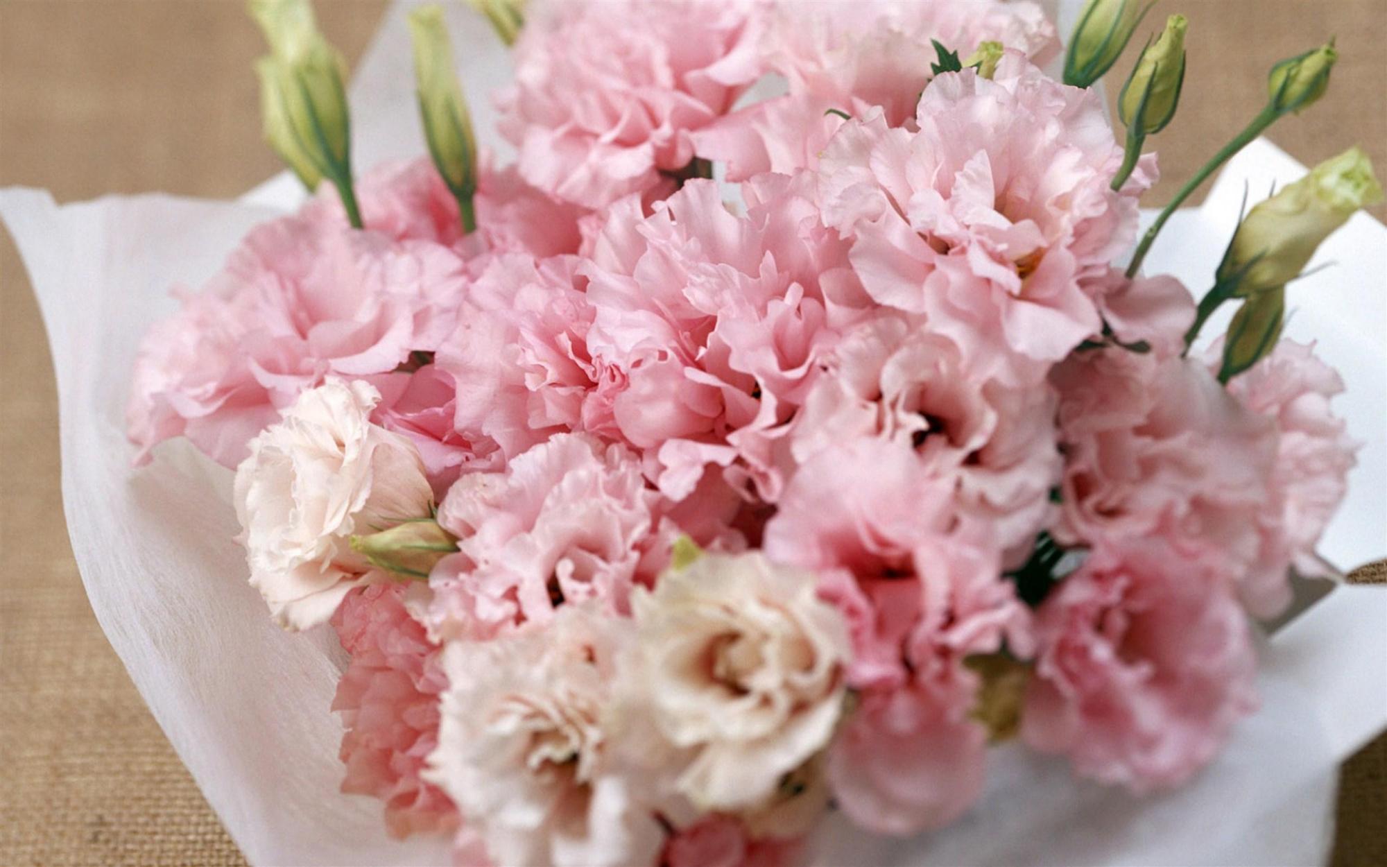 康乃馨是深水养还是浅水养好,盆养百合花怎么养