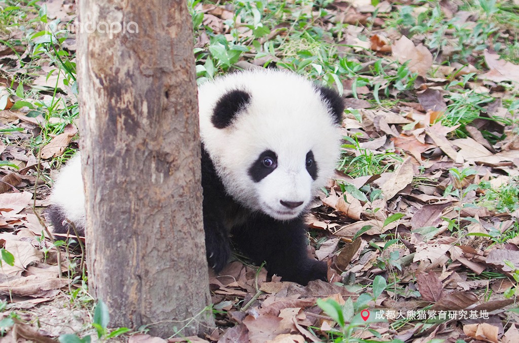 做塑料姐妹,真正的塑料姐妹是什么样的