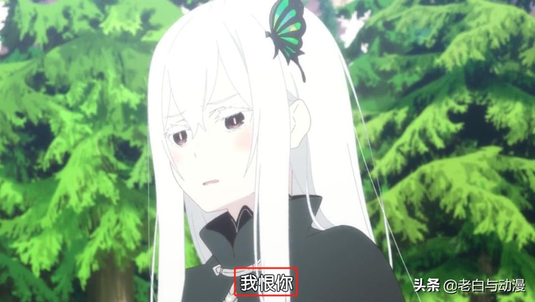 爱蜜莉雅和艾姬多娜的关系,艾姬多娜和爱蜜莉雅什么关系