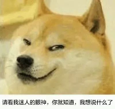 被猫舔证明什么,被猫咪舔过伤口真的会死吗