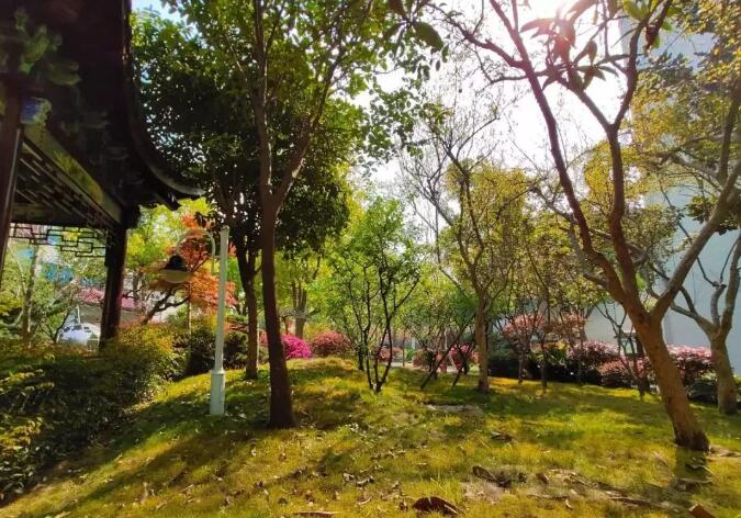 昆山最厉害的10所小学曝光,昆山十大高中