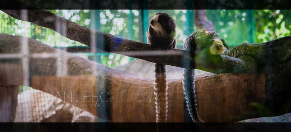 最新玩转泰国攻略,泰国旅游漫游