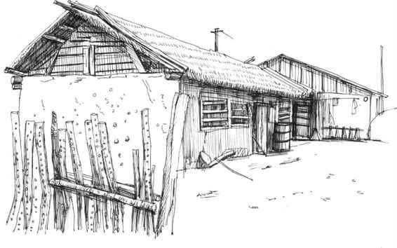 速写风景初学者入门教程,速写风景初学者入门教程植物