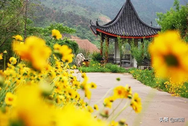 济南春天去哪赏花,济南春天赏花的好去处