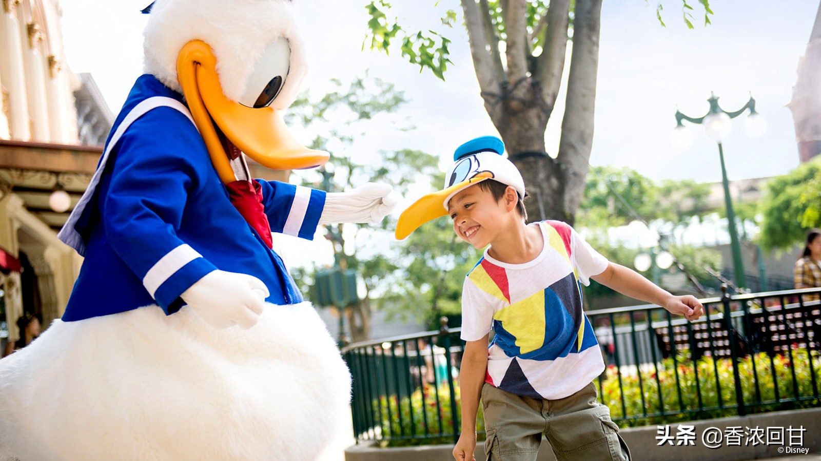 香港迪士尼乐园冰雪奇缘,香港迪士尼乐园快速通道