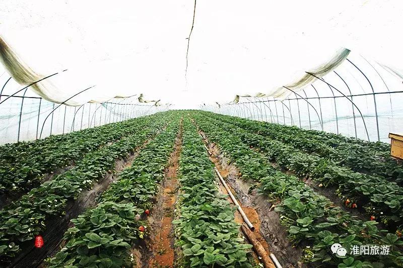 长亭外，古道边……原来淮阳古代的十里长亭竟然在这里