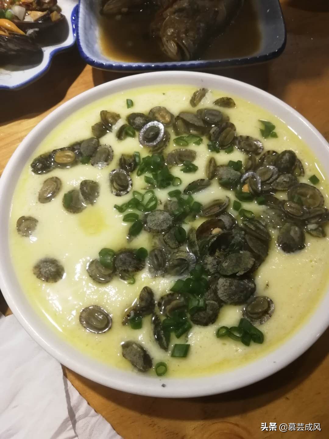 自由行去枸杞岛,枸杞岛自由行