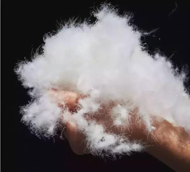 羽绒服辨质量四步走,moncler羽绒服怎么选