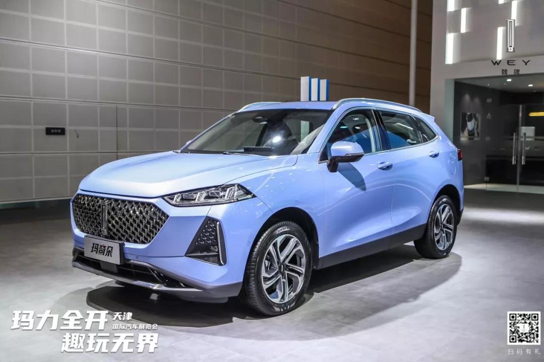 好一朵美丽的花,好一朵美丽的奇葩花