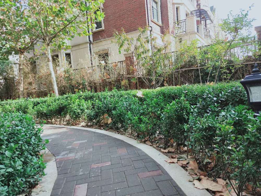 繁华林隐，野景初见——红石原著