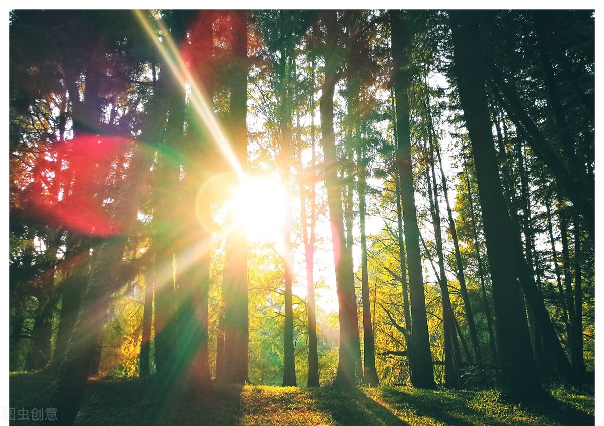 这个世界在乎的是结果,这个世界只在乎你经典语录