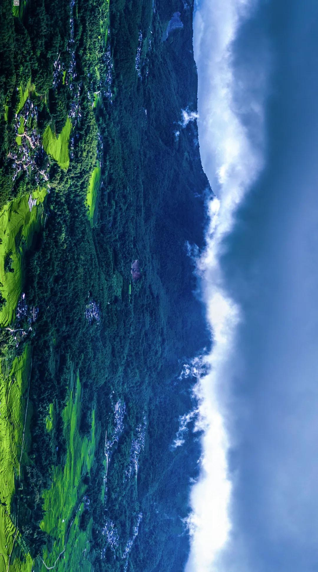 这是一个充满生机的公园怎么说,这是一个充满生机的国度朗诵