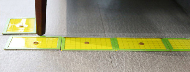 小老鼠怎么灭鼠,怎样能灭老鼠