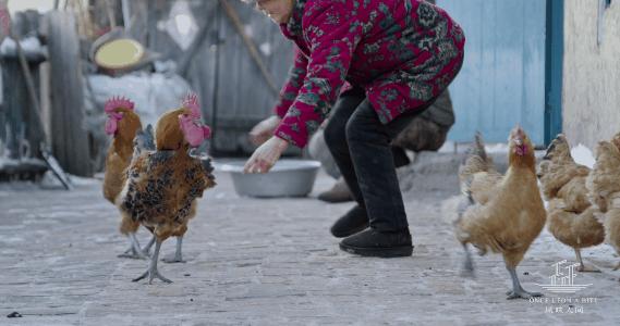楦℃儏鍥涘皠闊╁紡鐐搁浮浼樻儬鍥㈣喘,楦℃儏鍥涘皠