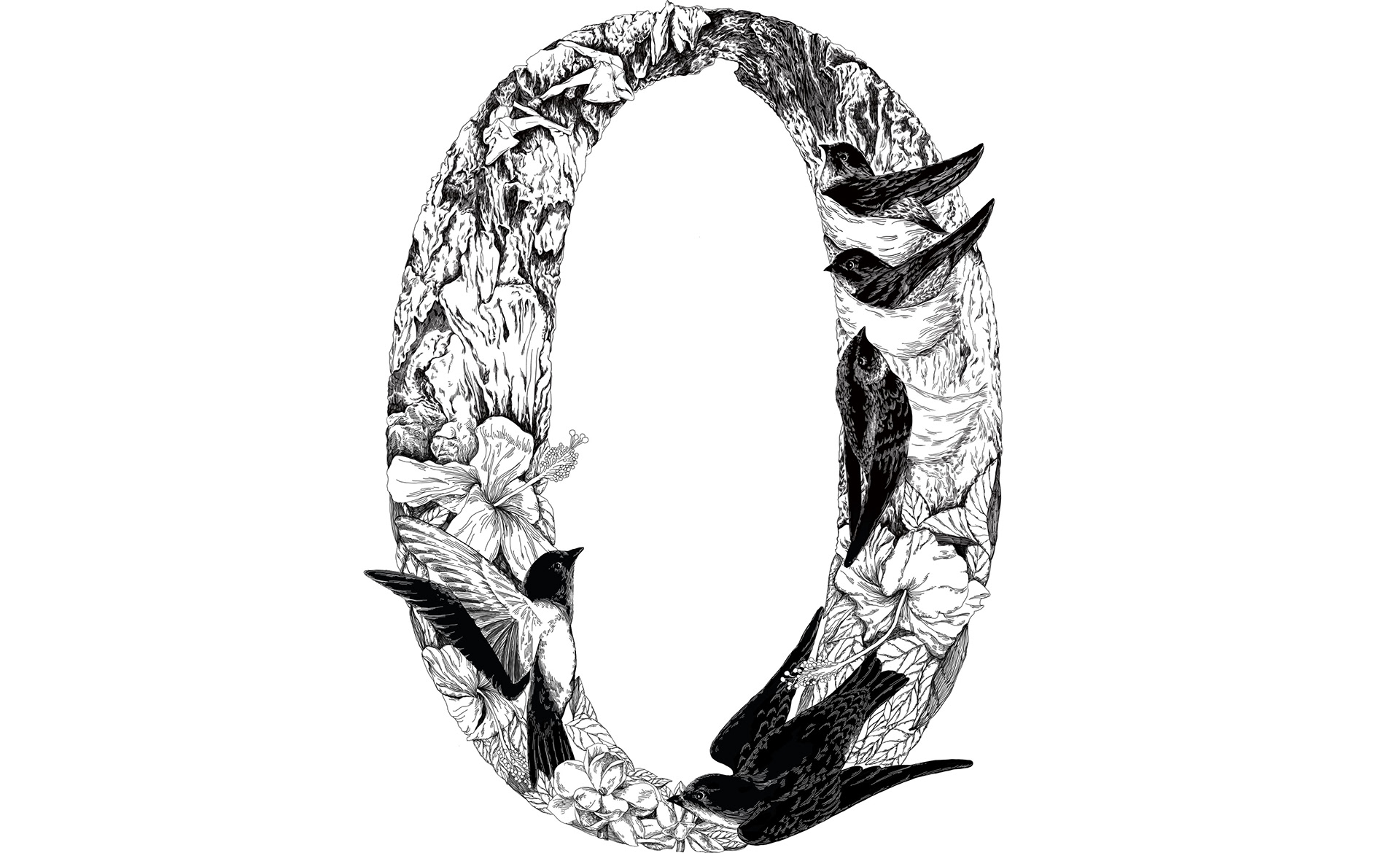 燕窝初创品牌,燕窝品牌的打造方式是什么