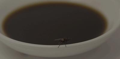 吃田螺吃到一股腥味有事吗,吃田螺吃到了些沙有事吗