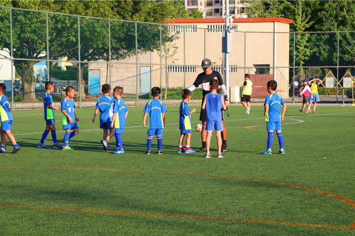 育新足球俱乐部2024暑假班,亲子足球嘉年华圆满落下帷幕