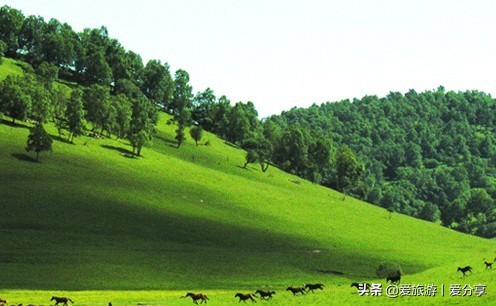宝鸡凤县到关山牧场,宝鸡关山牧场冬天景色