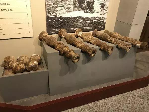 天津南开初中有春游吗,南开实验学校春游