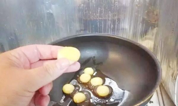 乌龟下鸡蛋,乌龟下了蛋要立马拿走吗