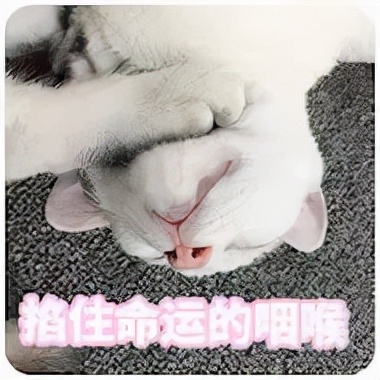 甲减病人减肥最有效的方法,得了甲减不容易减肥吗