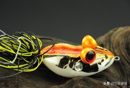 雷强黑鱼装备怎么选,雷强打黑装备搭配推荐