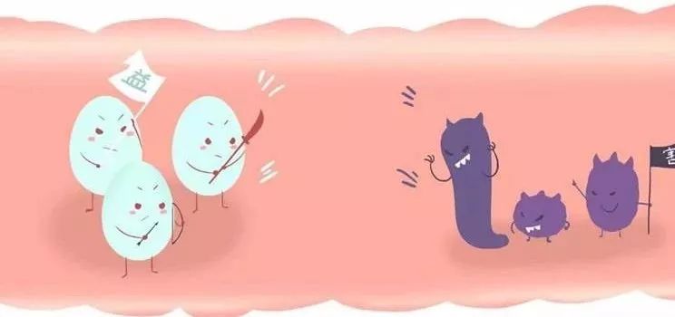 酵素和益生菌哪个对脚气有功效,益生菌脚气