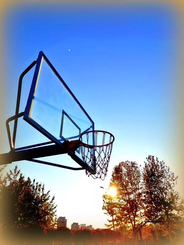 体育场馆免费开放政策,周末体育场馆免费开放