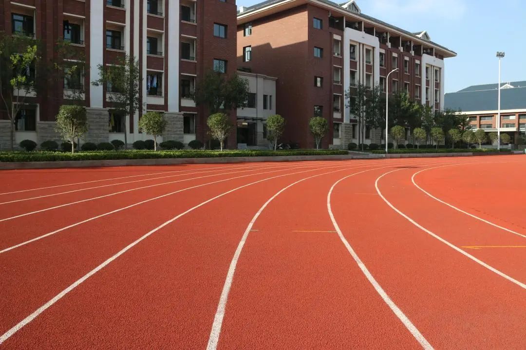 深入探讨alevel全日制集训,a-level课程哪个学校好