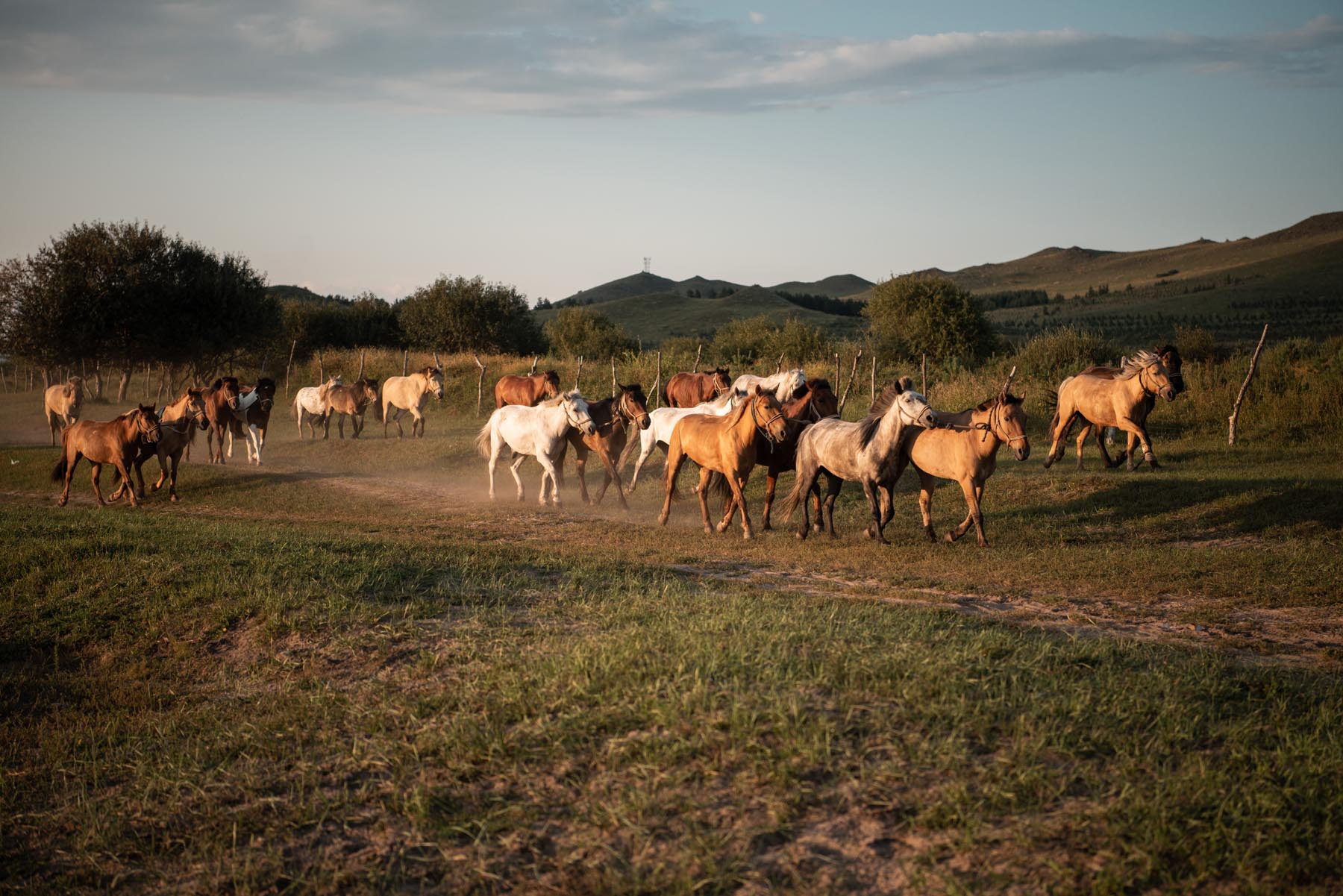 拥有这21件高颜值户外装备，让我们的草原野餐会像家里般优雅