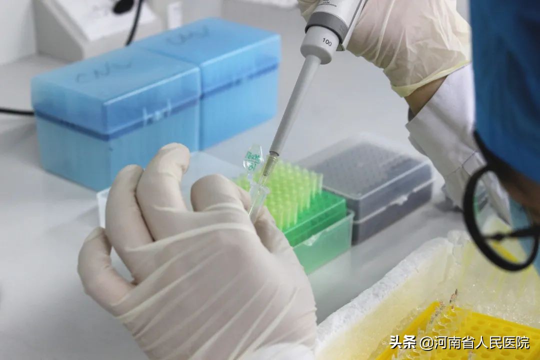 5%的概率,5%的概率是有多低