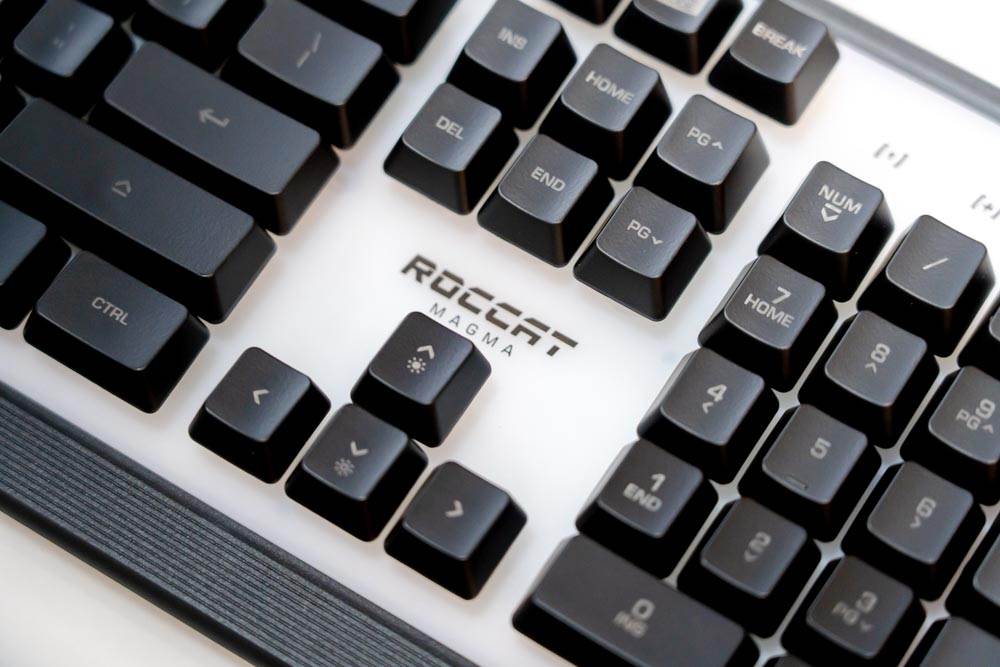 冰豹梅格薄膜键盘,冰豹梅格和派罗