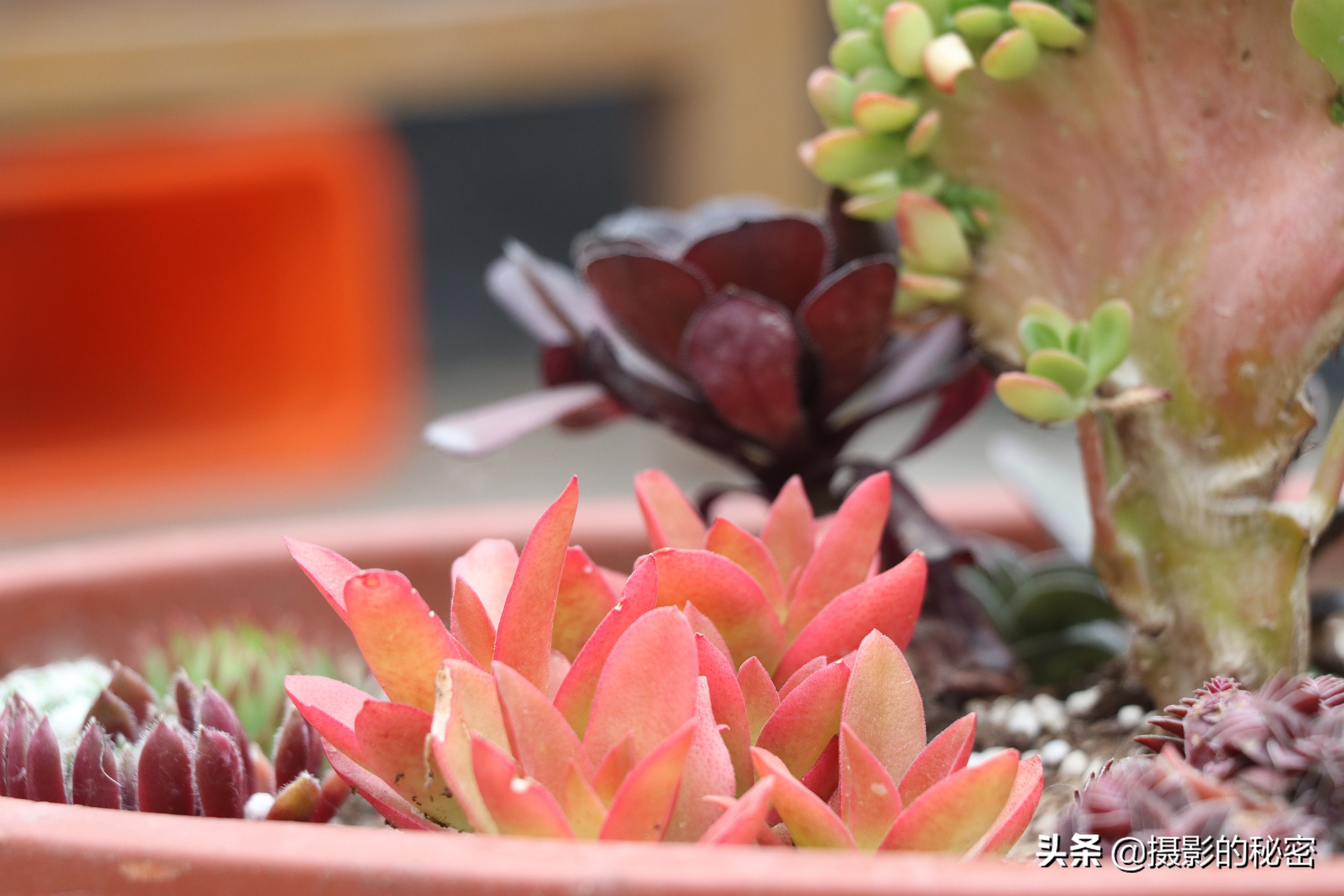 富图宝空气二号和空气三号,富图宝空气二号延时摄影