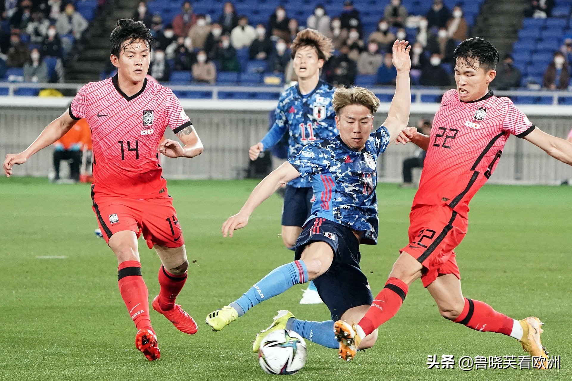 韩国和日本的足球队徽,韩国足球2019年队服