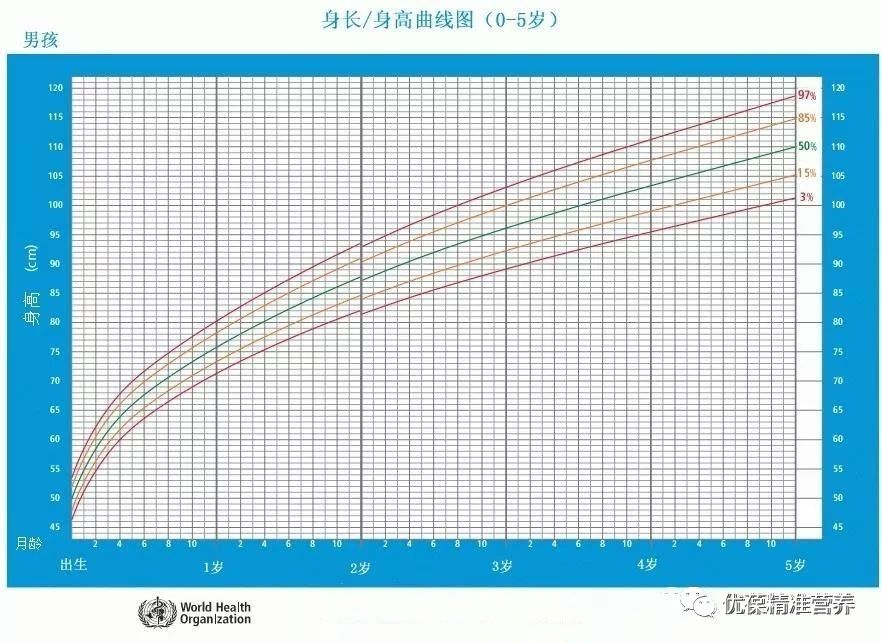 身高基因和后天营养有关系吗,营养跟不上个子会矮吗