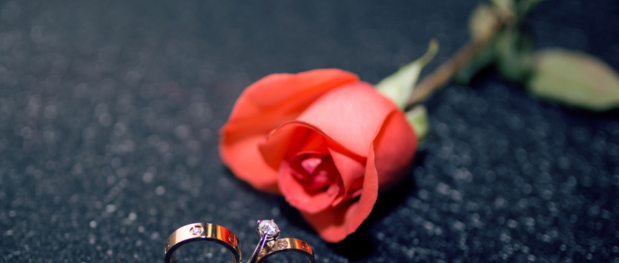 培育玫瑰花非常麻烦,还要在花朵上套上网套,这是为何