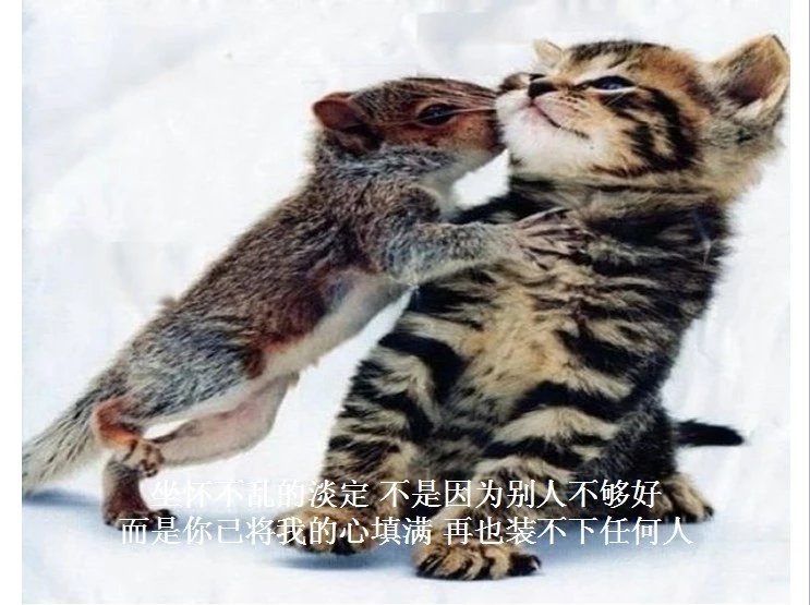 我只想说声爱你,只想再爱你一次