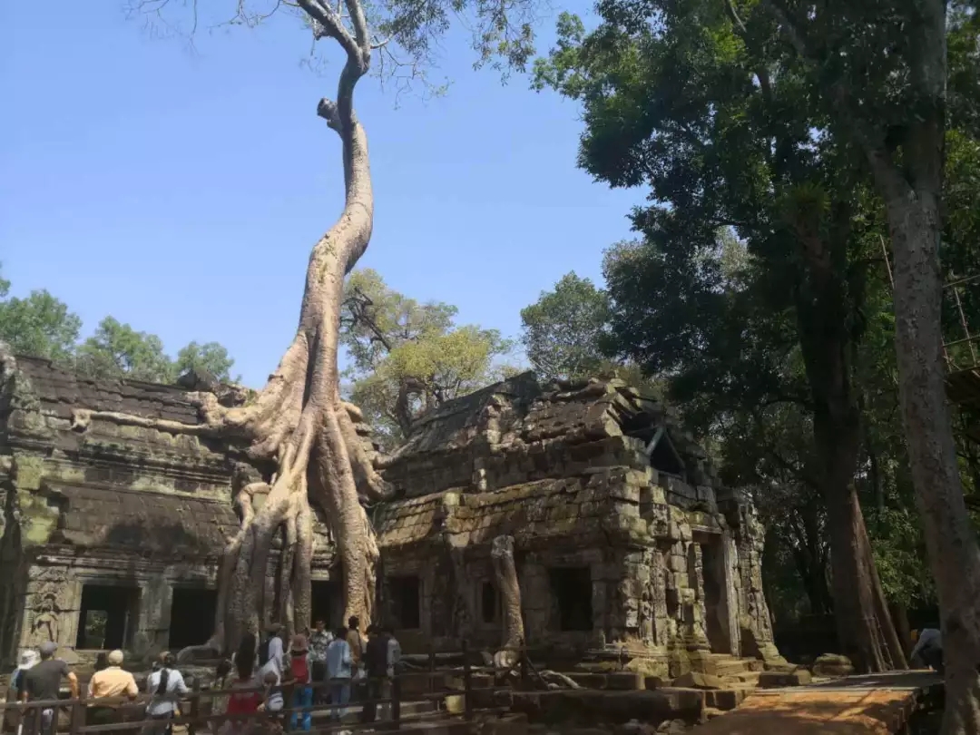 吴哥城，一千个人有一千种领悟