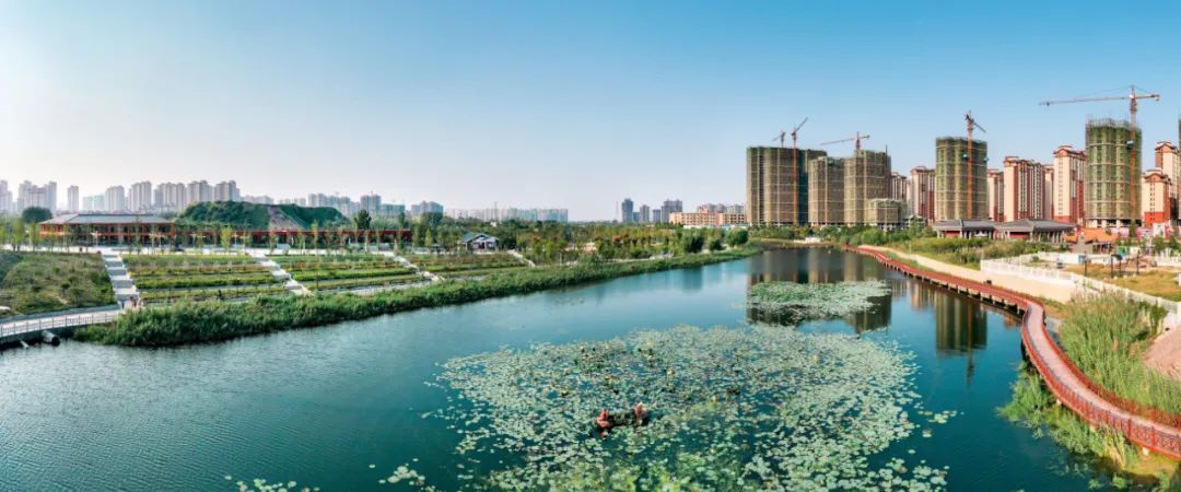 新郑龙湖镇中部地区百强城镇榜首,全国百强镇新郑龙湖第几名