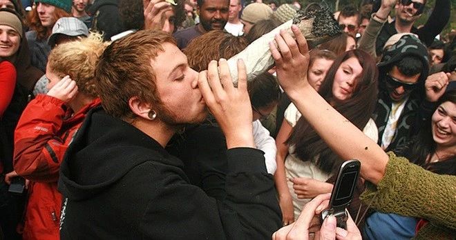 加拿大油菜籽出口滞销,加拿大大麻滞销