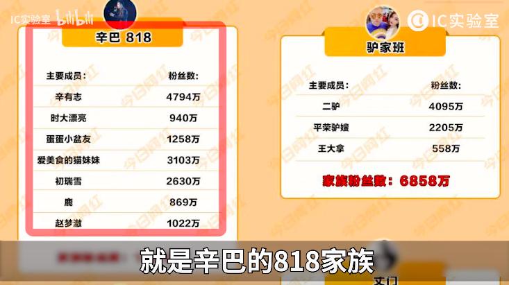 辛巴百亿电商帝国,快手辛巴及其家族