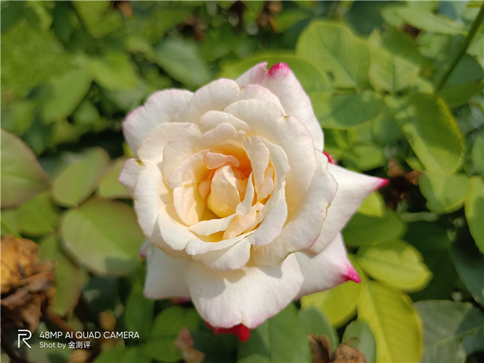 realme真我v5是5g手机吗,realme真我v5是不是全面屏