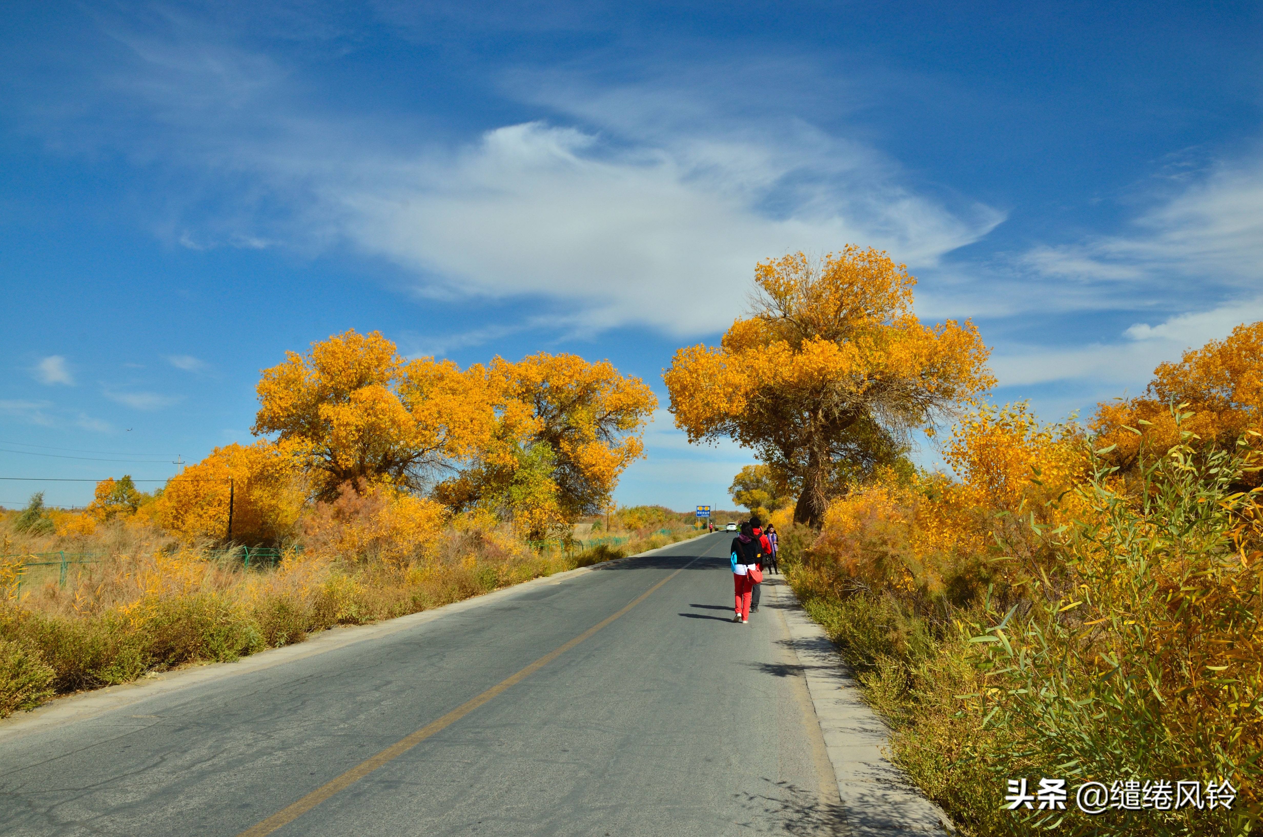 梦境的残余免费观看,梦境的残余