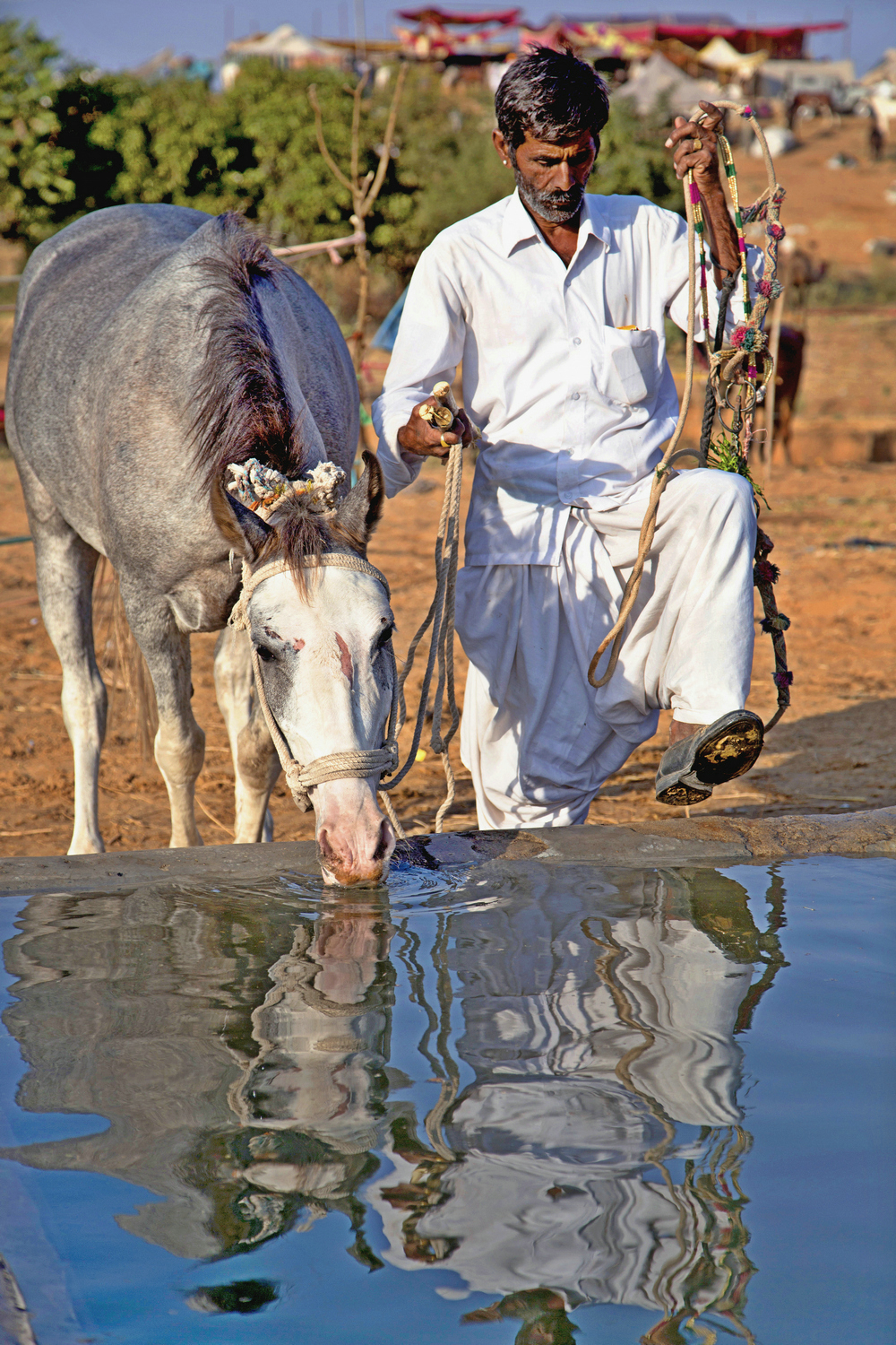 拍马都追不上的成语,拍马都赶不上的成语