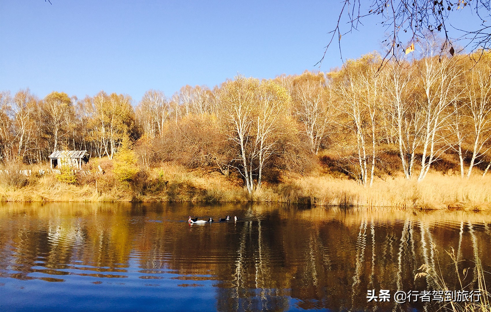 冬季克旗旅游自驾游攻略,克什克腾旗看秋色攻略